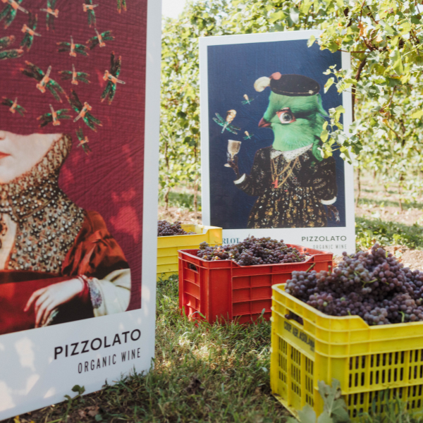 alt=vini senza solfiti aggiunti