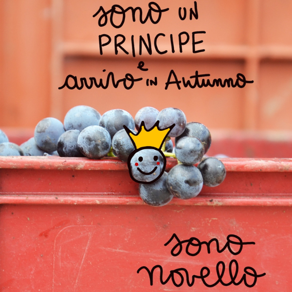 alt=Vino Novello Biologico Piwi